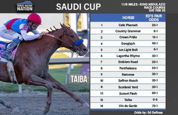 Saudi Cup: Taiba is horse to beat, but Jun Light Bolt intrigues