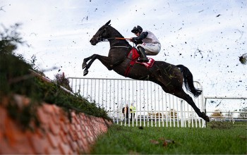 Savills Chase tips and runners guide to Leopardstown 2.25