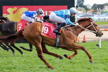 Scan rule out Melbourne Cup 2022 contender