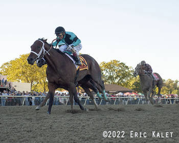 Scaramouche Takes On Field Of 11 In Monday's $250,000 Steel Valley Sprint