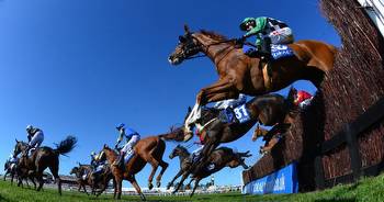 Scottish Grand National 2023 full race card and tips