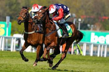 Scottish Grand National tips and odds: Kitty's Light favourite at Ayr, Flower Of Scotland a 12/1 shot
