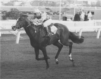 Sea Cottage, the Durban July legend who won the hearts of racing fans