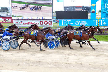 Self Assured sublime in NZ Pacing FFA