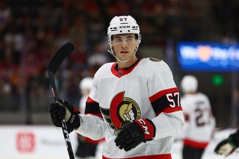 Senators' Pinto First Modern NHL Player Suspended for Gambling