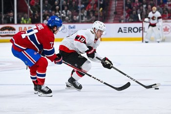 Senators vs Panthers Prediction NHL Picks 2/20/24