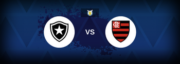 Serie A: Botafogo vs Flamengo