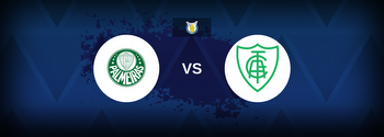 Serie A: Palmeiras vs America MG