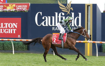 Set-back for Caulfield Cup winner in autumn comeback