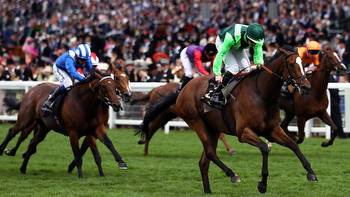 Settle For Bay returns to Ascot for Royal Hunt Cup