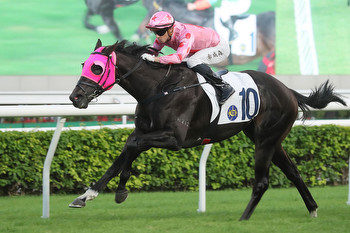 Sha Tin Can Make It A Great Start To Boxing Day