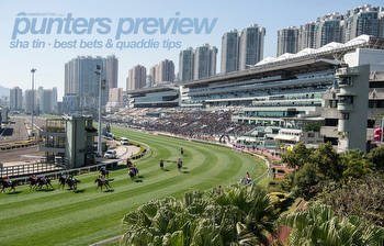 Sha Tin Preview & Best Bets
