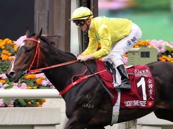 Sha Tin preview and tips: Sunday, January 28