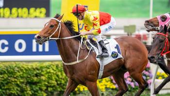 Sha Tin preview and tips: Sunday, October 15