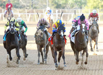 Shackleford Filly Game as they Get in Fantasy