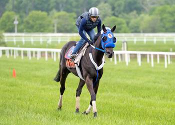 Shake Em Loose Will Skip Preakness, Back On Turf