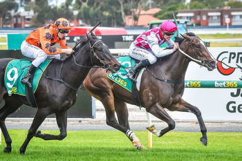 Shalaa Filly Queen of Nations Makes Winning Debut