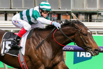Share in Melbourne Cup runner sells for $205,000