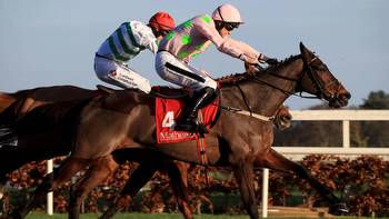 Sharjah bids for record-breaking fifth Matheson Hurdle title