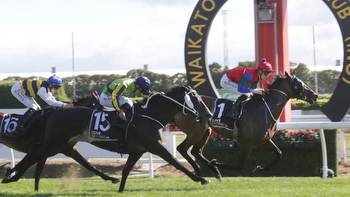 Sharp 'N' Smart justifies dominant favouritism in New Zealand Derby