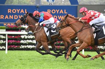 Sharpshooter 'Rogy' eyes another Australian Derby