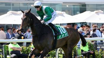 Shayne O’Cass gives his analysis and tips for Rosehill Gardens