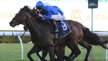 Shayne O’Cass gives his analysis and tips for Royal Randwick