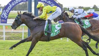 Shayne O'Cass gives his tips and preview for Rosehill on Saturday