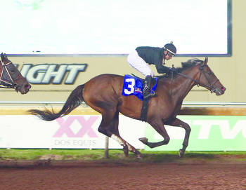 She’s All Wolfe Continues her dominant ways on Remington Park’s main track in feature race
