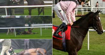 Shocking picture shows racehorse champion Wigmore Hall destroyed at packed course