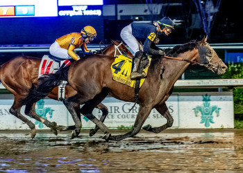 Sierra Leone rises to individual favoritism in Kentucky Derby Future Wager Pool 4