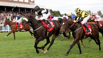 Significantly strikes Gold at Ayr for Camacho and Fanning