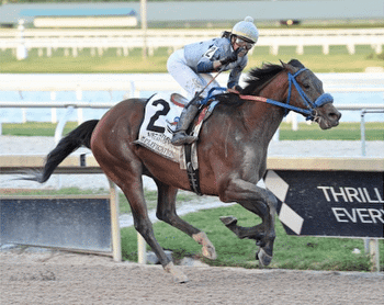 Simplification routes to win first graded stakes in G2 Fountain of Youth