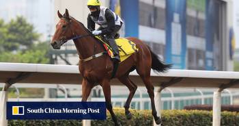 Singapore star Inferno out of Hong Kong Sprint, Zac Purton snares new ride
