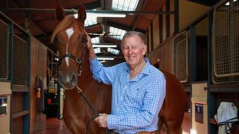 Singo reveals regret as racing empire goes under the hammer