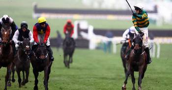 Sire Du Berlais wins the Stayers’ Hurdle in thrilling finish at Cheltenham