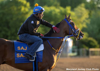 Skippylongstocking's Preakness Bid Could Be Monumental For Doble Jak Investments, Top Line Sales