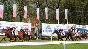 Sky Bet Sunday Series preview, tips and horses to follow