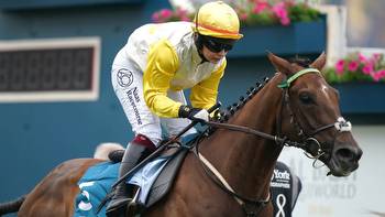 Sky Bet York Stakes option for Sky Bet Ebor hopeful Kihavah