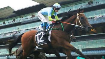 Sky Lab chases spring consolation in The Ingham