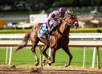 Slow Down Andy Earns Breeders' Cup Classic Berth In Awesome Again