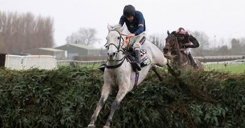 Snow Leopardess gamble continues as fans back grey to make Grand National history