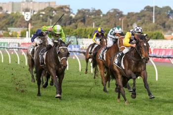 So Dazzling too tough in VRC Oaks trial