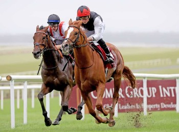 So far so good for return to action of Kyprios in Irish Leger