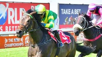 Some of SA's finest fillies in action at Royal Race Day in Turffontein