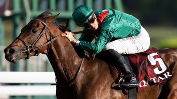 Soumillon future with Aga Khan unclear after 'unconscionable, unthinkable' act