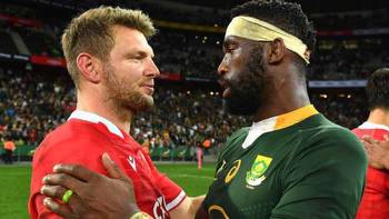 South Africa 30-14 Wales: Defeat for tourists but pride restored against Springboks
