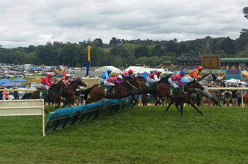 South Australia bans jumps racing