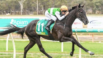 South Australian Derby: Form analysts split on staying feature