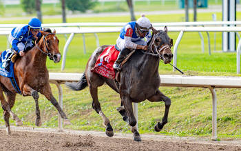 Southlawn Could Rebound At Saratoga